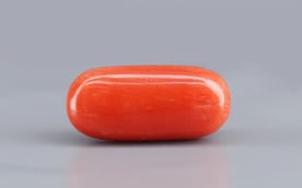 Italian Red Coral - 8.12 Carat Limited Quality CC-5726