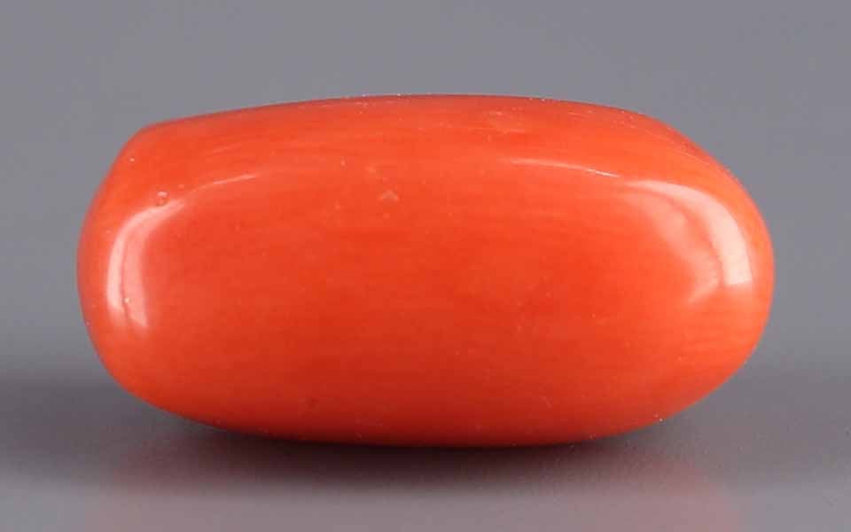 Italian Red Coral - 8.17 Carat Limited Quality CC-5557