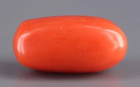 Italian Red Coral - 8.17 Carat Limited Quality CC-5557