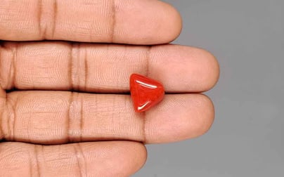 Italian Red Coral - 8.17 Carat Limited Quality TC-5445