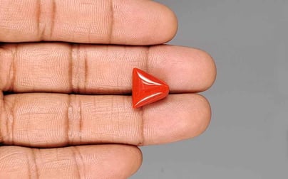 Italian Red Coral - 8.19 Carat Limited Quality TC-5439