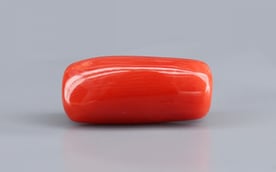 Italian Red Coral - 8.21 Carat Limited Quality CC-5723