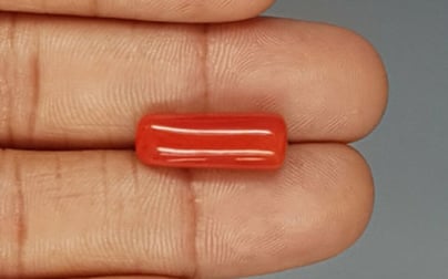 Italian Red Coral - 8.24 Carat Prime Quality CC-5764