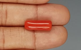 Italian Red Coral - 8.24 Carat Prime Quality CC-5764