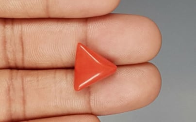 Italian Red Coral - 8.39 Carat Limited Quality TC 5235