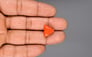 Italian Red Coral - 8.44 Carat Limited Quality TC-5007
