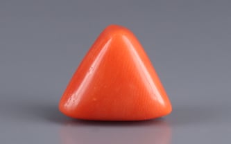 Italian Red Coral - 8.44 Carat Limited Quality TC-5007