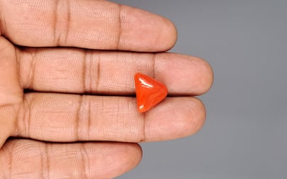 Italian Red Coral - 8.46 Carat Limited Quality TC-5136