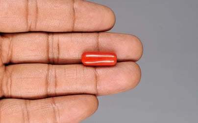 Italian Red Coral - 8.51 Carat Prime Quality CC-5913