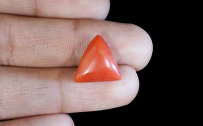 Italian Red Coral - 8.58 Carat Limited Quality TC-5065