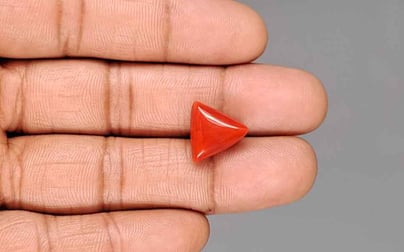 Italian Red Coral - 8.61 Carat Limited Quality TC-5420