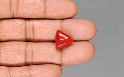 Italian Red Coral - 8.64 Carat Limited Quality TC-5415