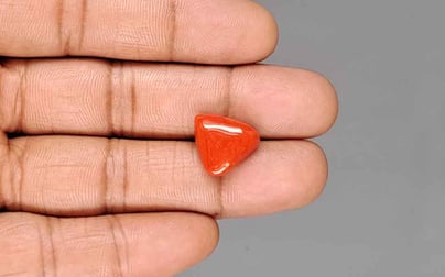 Italian Red Coral - 8.84 Carat Prime Quality TC-5417