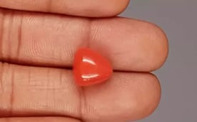 Italian Red Coral - 8.86 Carat Limited Quality TC-5328