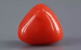 Italian Red Coral - 8.86 Carat Limited Quality TC-5328