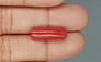 Italian Red Coral - 8.86 Carat Prime Quality CC-5768