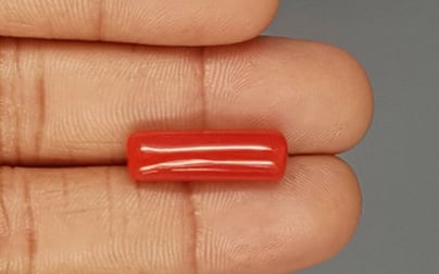 Italian Red Coral - 8.93 Carat Prime Quality CC-5766