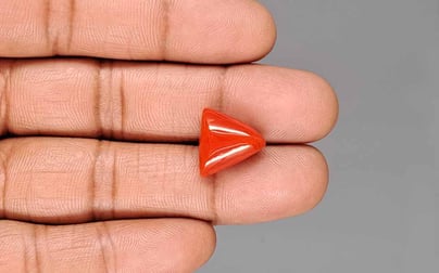 Italian Red Coral - 8.98 Carat Limited Quality TC-5431