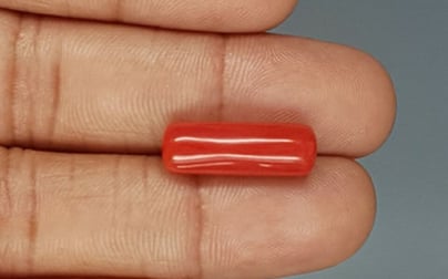 Italian Red Coral - 8.99 Carat Prime Quality CC-5758