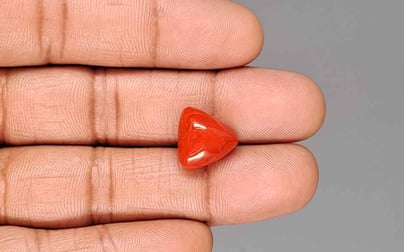 Italian Red Coral - 8.99 Carat Rare Quality TC-5441