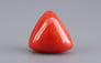 Italian Red Coral - 8.99 Carat Rare Quality TC-5441