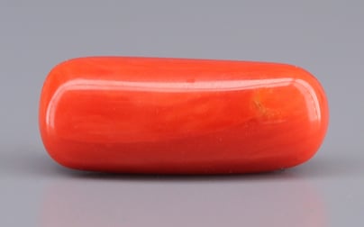 Italian Red Coral - 9.03 Carat Prime Quality CC-5918