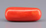 Italian Red Coral - 9.03 Carat Prime Quality CC-5918