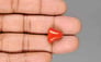 Italian Red Coral - 9.25 Carat Limited Quality TC-5423