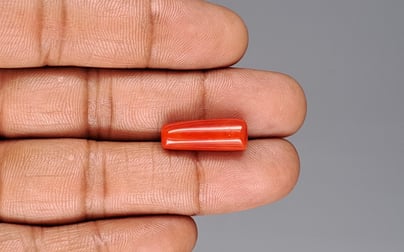 Italian Red Coral - 9.25 Carat Prime Quality CC-5915