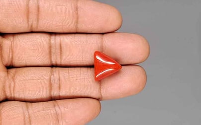 Italian Red Coral - 9.27 Carat Limited Quality TC-5412