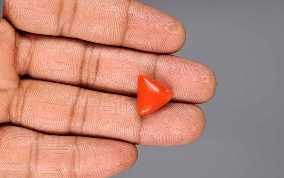 Italian Red Coral - 9.28 Carat Fine Quality TC-5005