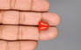 Italian Red Coral - 9.31 Carat Limited Quality TC-5395