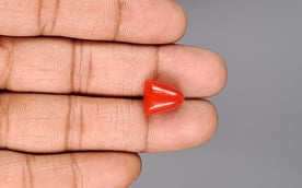 Italian Red Coral - 9.31 Carat Limited Quality TC-5395