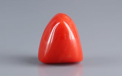 Italian Red Coral - 9.31 Carat Limited Quality TC-5395