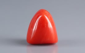 Italian Red Coral - 9.31 Carat Limited Quality TC-5395