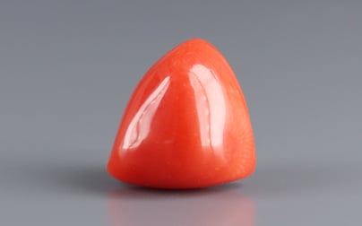 Italian Red Coral - 9.47 Carat Limited Quality TC-5318