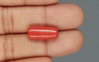 Italian Red Coral - 9.57 Carat Limited Quality CC 5711