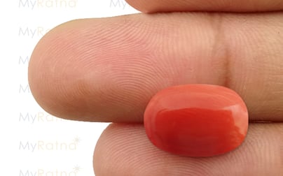 Italian Red Coral - 9.59 Carat Limited Quality CC-5505
