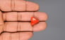 Italian Red Coral - 9.64 Carat Limited Quality TC-5130