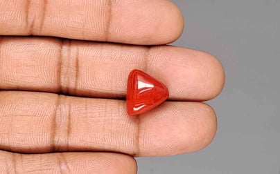 Italian Red Coral - 9.68 Carat Rare Quality TC-5448