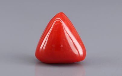Italian Red Coral - 9.68 Carat Rare Quality TC-5448