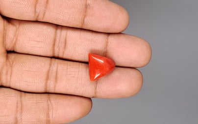 Italian Red Coral - 9.71 Carat Limited Quality TC-5400