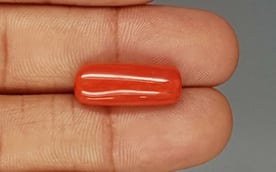 Italian Red Coral - 9.76 Carat Prime Quality CC-5757