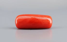 Italian Red Coral - 9.76 Carat Prime Quality CC-5757