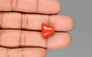 Italian Red Coral - 9.78 Carat Prime Quality TC-5443