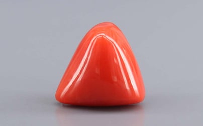 Italian Red Coral - 9.78 Carat Prime Quality TC-5443