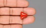 Italian Red Coral - 9.81 Carat Limited Quality TC-5454