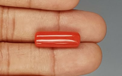 Italian Red Coral - 9.91 Carat Prime Quality CC-5760
