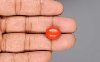 Italian Red Coral - 9.94 Carat Limited Quality CC-5944