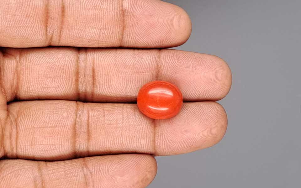 Italian Red Coral - 9.94 Carat Limited Quality CC-5944